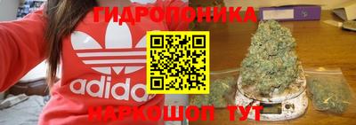 PSILOCYBIN Бугуруслан