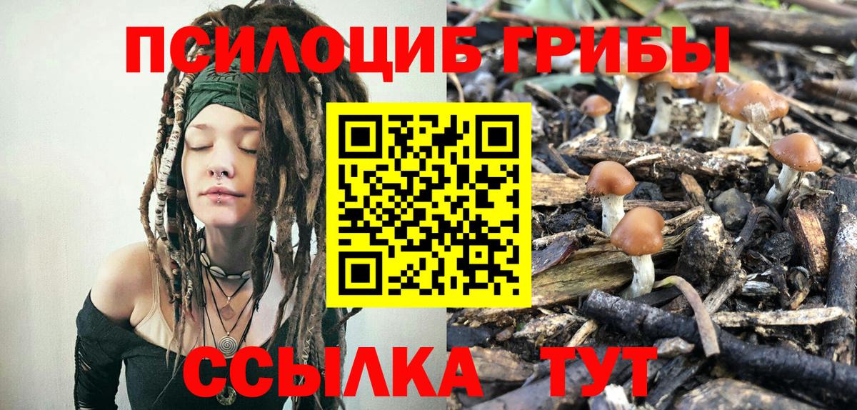 Псилоцибиновые грибы мицелий  Вход с VPN  Обь 